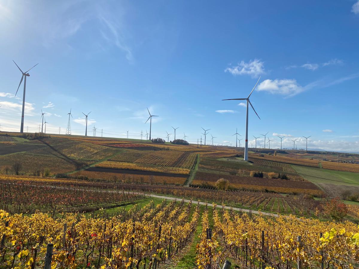 Woher kommt der Wein aus unserem Weingut eigentlich?
